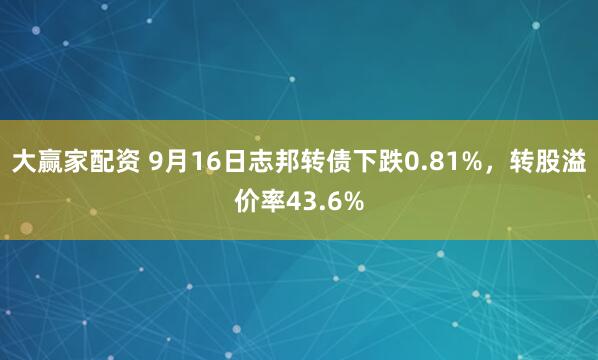 大赢家配资 9月16日志邦转债下跌0.81%，转股溢价率43.6%