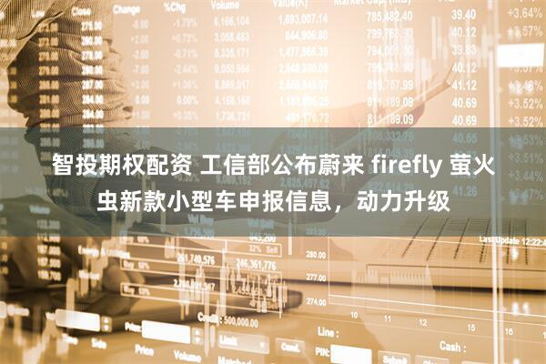 智投期权配资 工信部公布蔚来 firefly 萤火虫新款小型车申报信息，动力升级