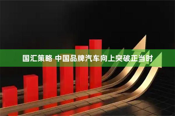 国汇策略 中国品牌汽车向上突破正当时